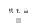 桃竹苗
